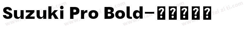 Suzuki Pro Bold字体转换